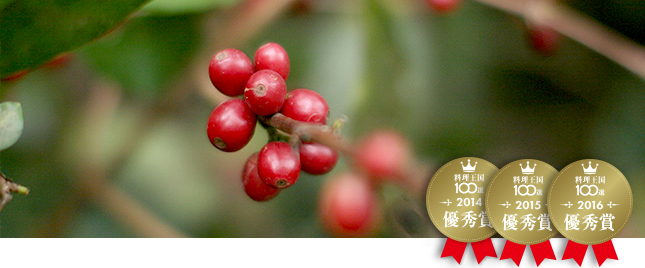 �h�C�R�[�q�[�@�J�y�e�B���_��